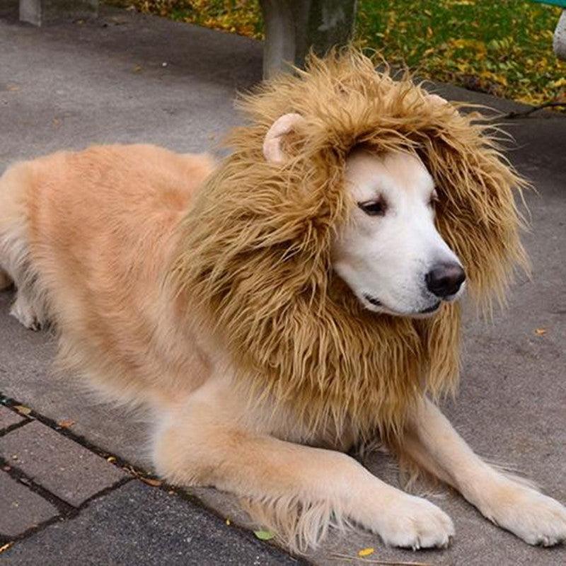 Lion King Pet Cosplay Costume: Winter Warm Wig For Cats And Dogs