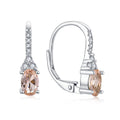 Foreign trade cross-border light luxury s925 silver ear clip zircon with diamond simple and stylish earrings earrings jewelry silver accessories processing