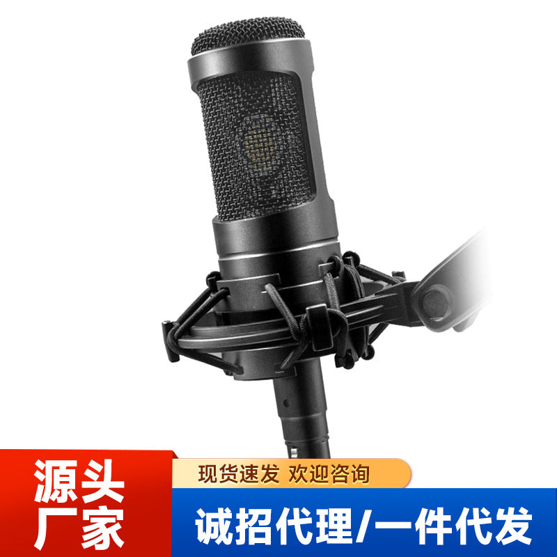 AT2035 wired condenser microphone recording conference vocal microphone sound card Enping cross-border wireless live only