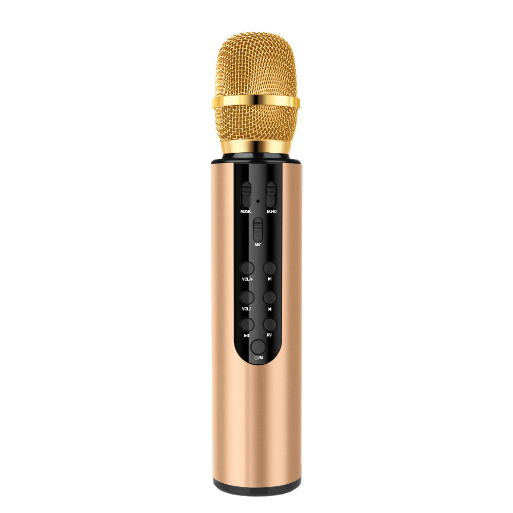 Cross-border custom wireless condenser microphone dual speaker portable Bluetooth microphone home singing audio microphone