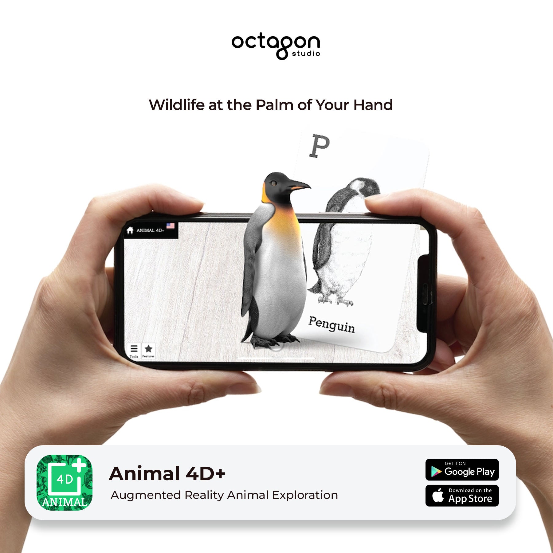 Animal 4D+ Augmented Reality Cards