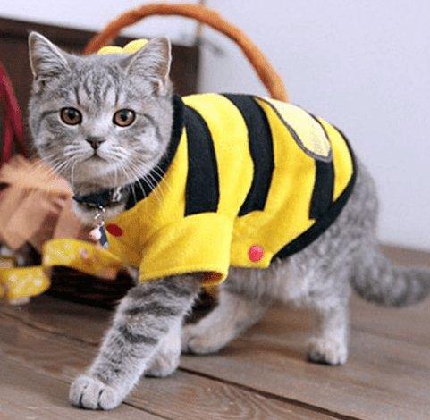 Buzzing Bee Pet Apparel: Soft Fleece Clothes For Dogs And Cats